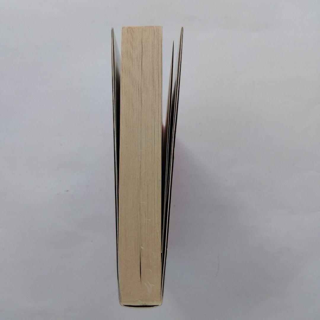 仙道符咒気功法 : 仙道が究めた超絶・最強のメソッド! 符咒図の働きで気が巡る…