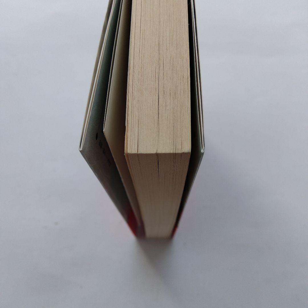 仙道符咒気功法 : 仙道が究めた超絶・最強のメソッド! 符咒図の働きで気が巡る…