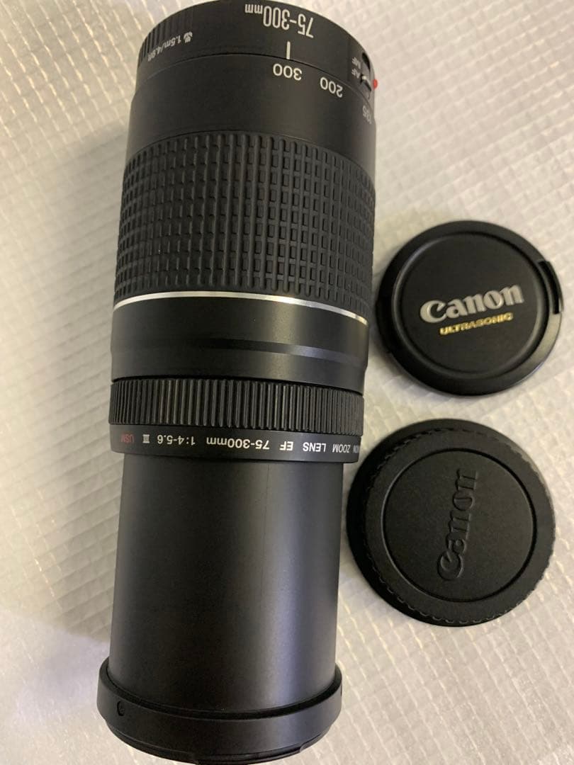 ⭐️極美品⭐️ Canon EF 75-300mm F4-5.6 III 望遠レンズ