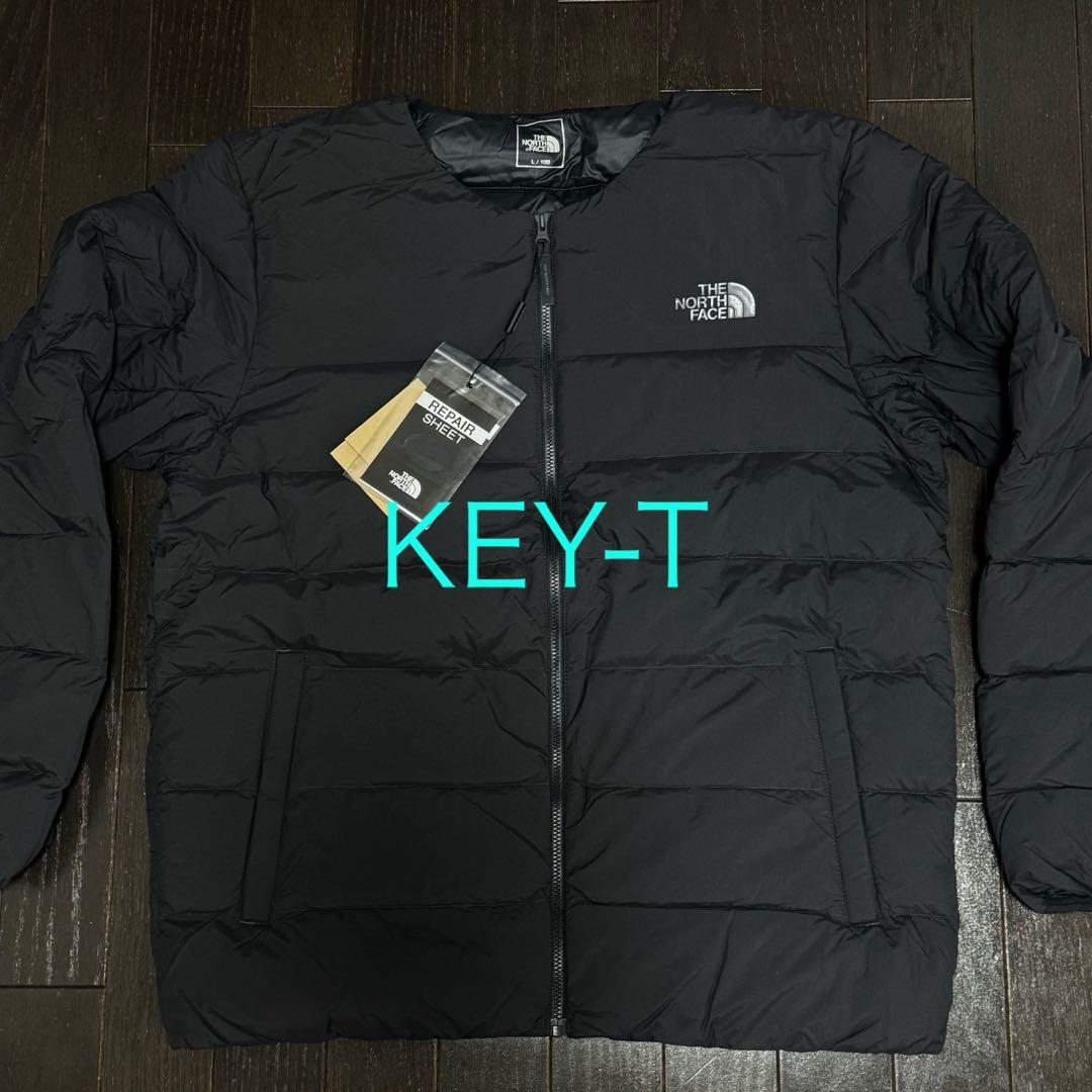 新品 THE NORTH FACE ノーカラー ブルゾン ダウンジャケット