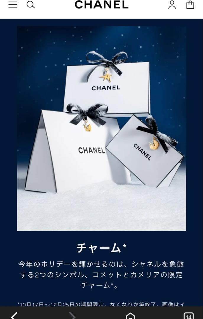 クッキー様　シャネル　限定チャーム　カメリア30個、コメット20個　計50個