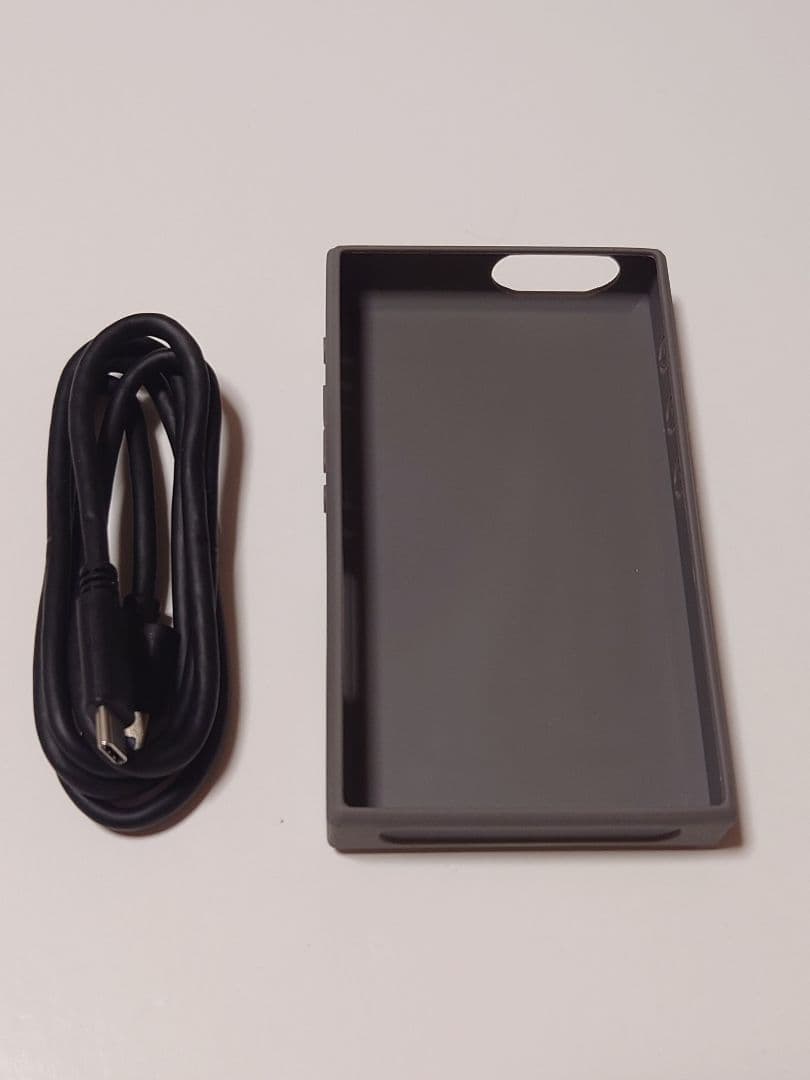 FiiO M21 Titanium Gold デジタルオーディオプレーヤー