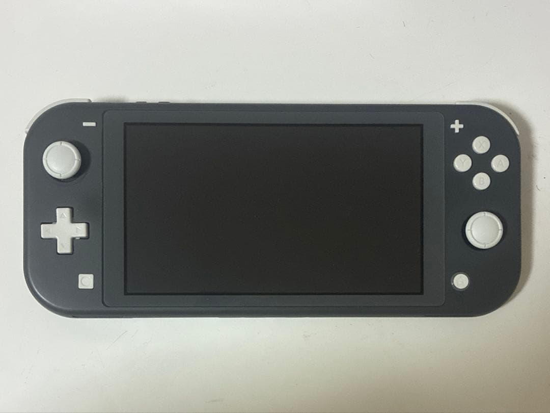 Nintendo Switch Lite グレー 本体　ACアダプター