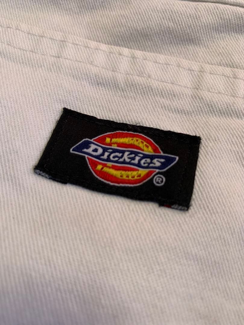 Dickies × SherwinWilliams ペインターパンツ W32