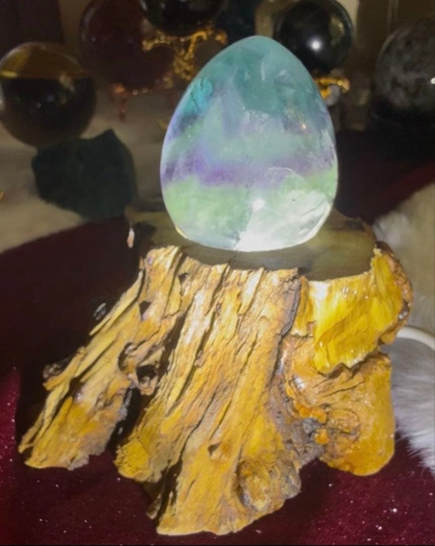 kyoukyou31様☆専用出品 (kyoukyou31様のみ購入可)