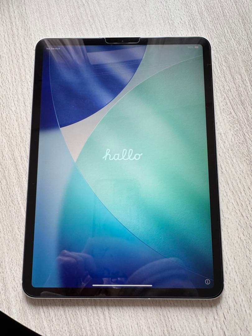 【iPad pro】第１世代11インチwifi + cellularモデル