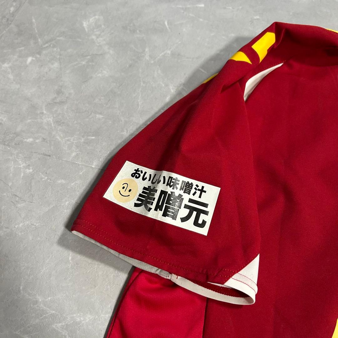 希少 hummel アイナック神戸レオネッサ 2番 近賀ゆかり 公式 ユニホーム