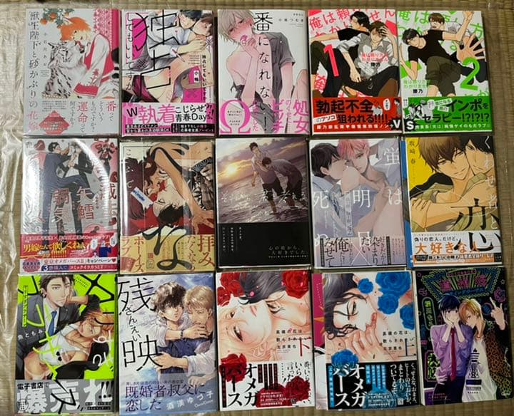 ⑤BL本まとめ売り　ボーイズラブコミックス　BOYS LOVE COMICS
