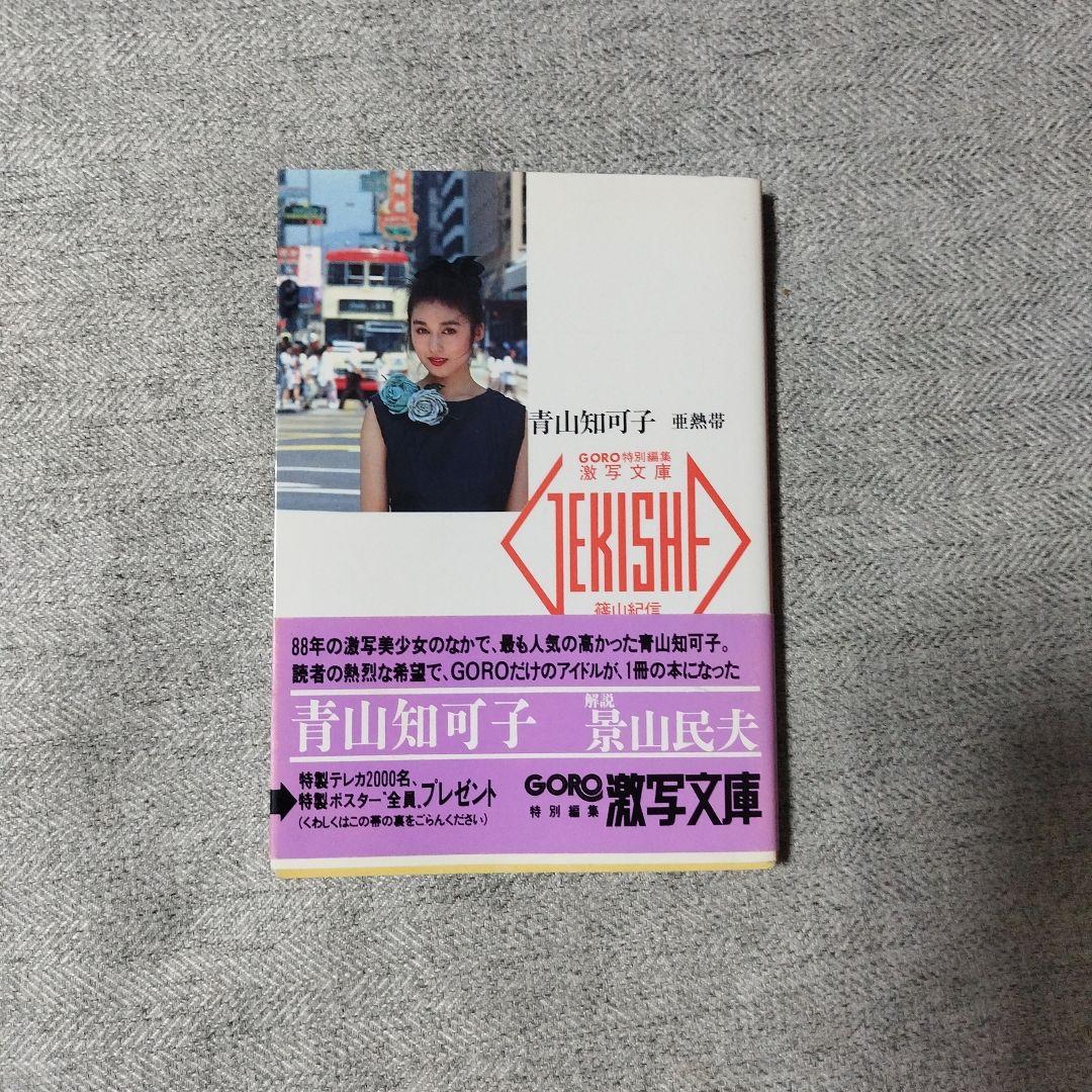 青山知可子　写真集　亜熱帯　篠山紀信