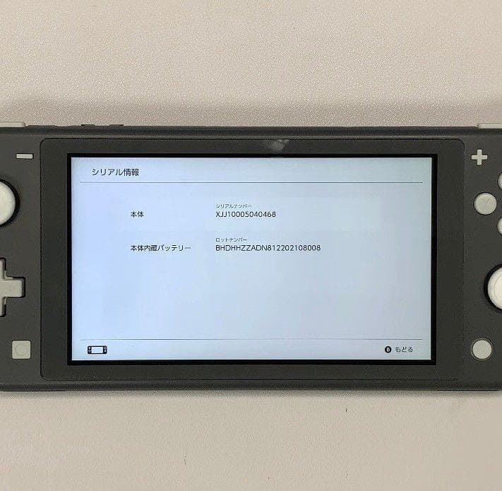 Nintendo Switch Lite 本体 動作品 グレー