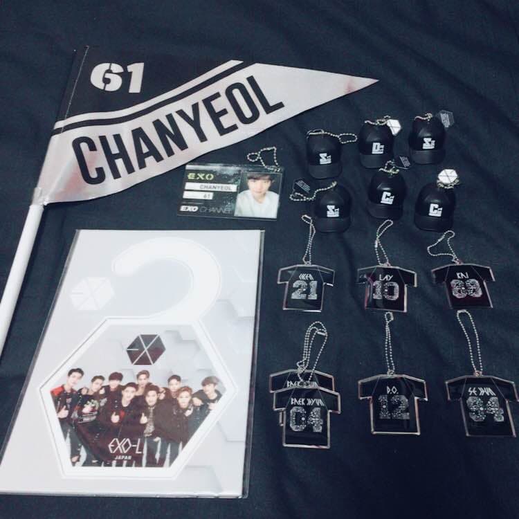 チャニョル 公式グッズ