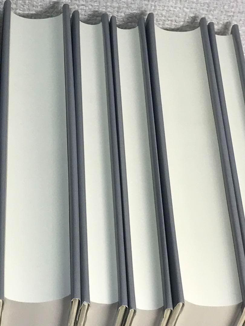 ハイデッガー全集　6冊セット