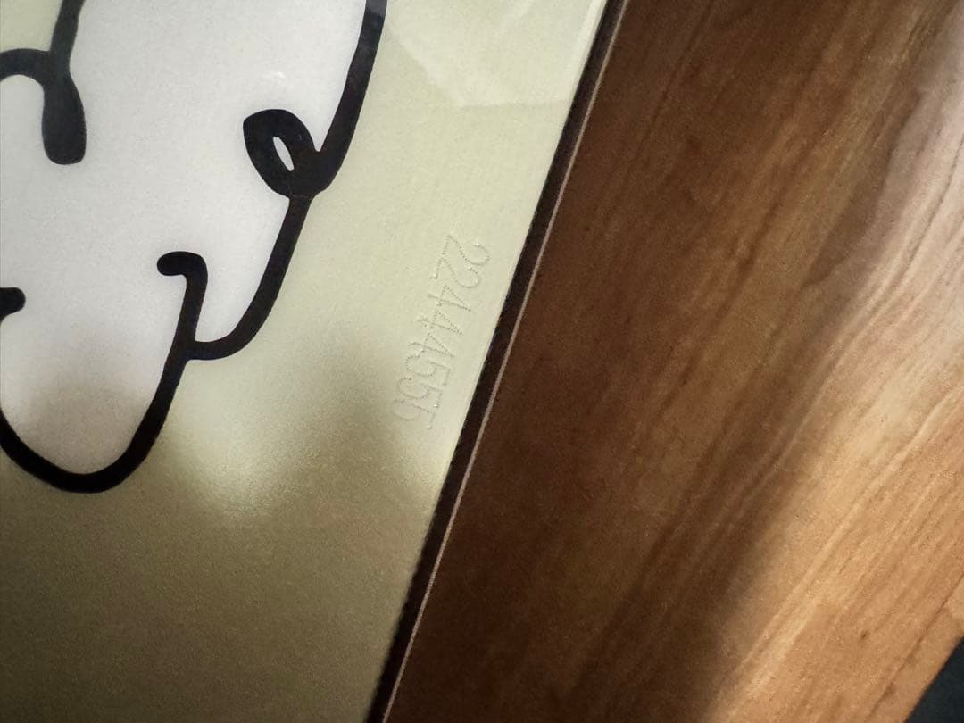 23/24 サロモン UND 155cm 数量限定モデル