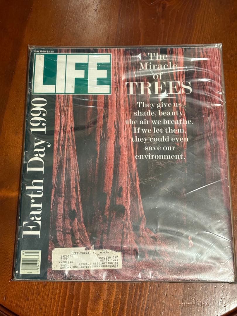 超希少　ヴィンテージLIFE誌　12冊　LIFEが入る額付き　質問はコメントへ