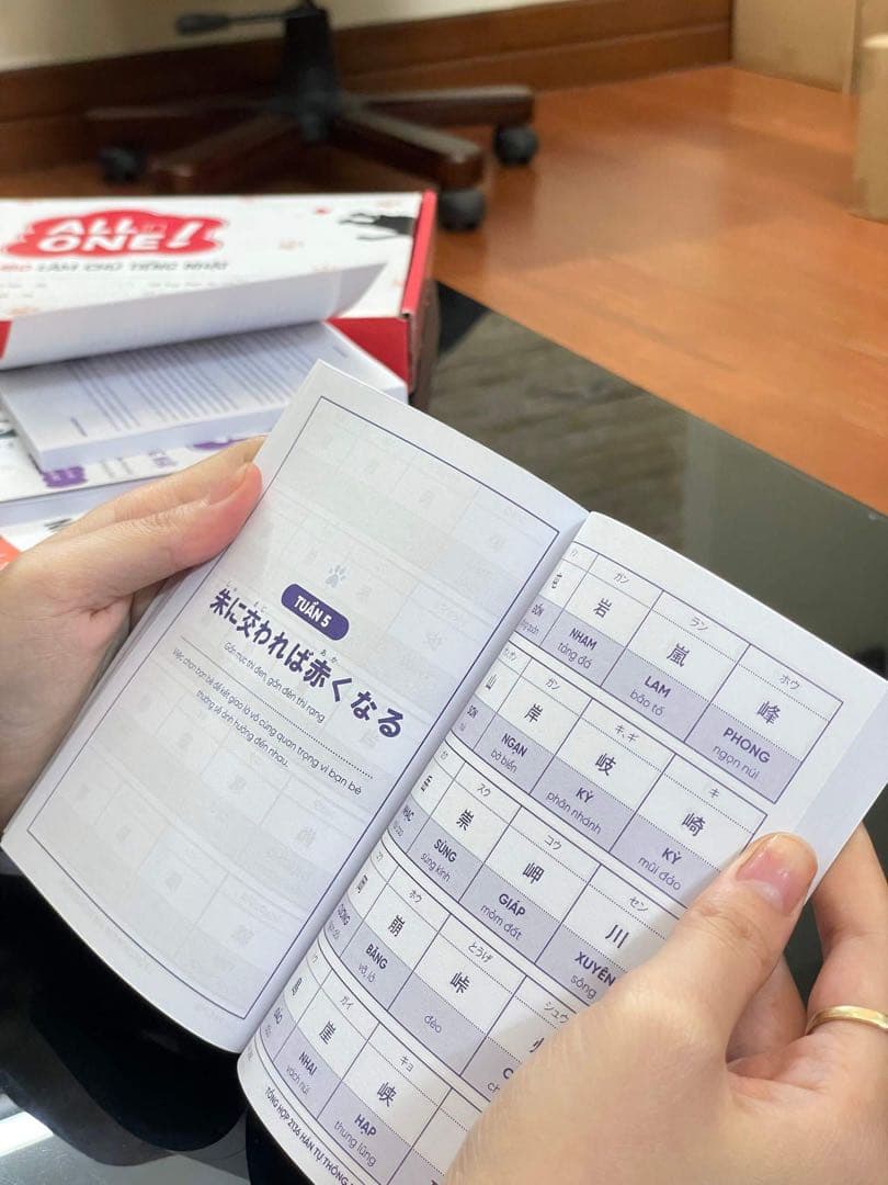 ALL IN ONE 日本語能力試験　５冊セット　プレゼント付き　ベトナム語版