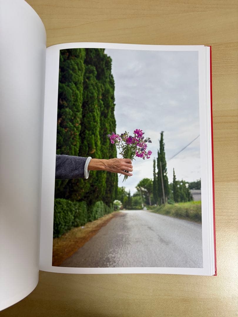 アート・デザイン・音楽 Joel Meyerowitz Wild Flowers