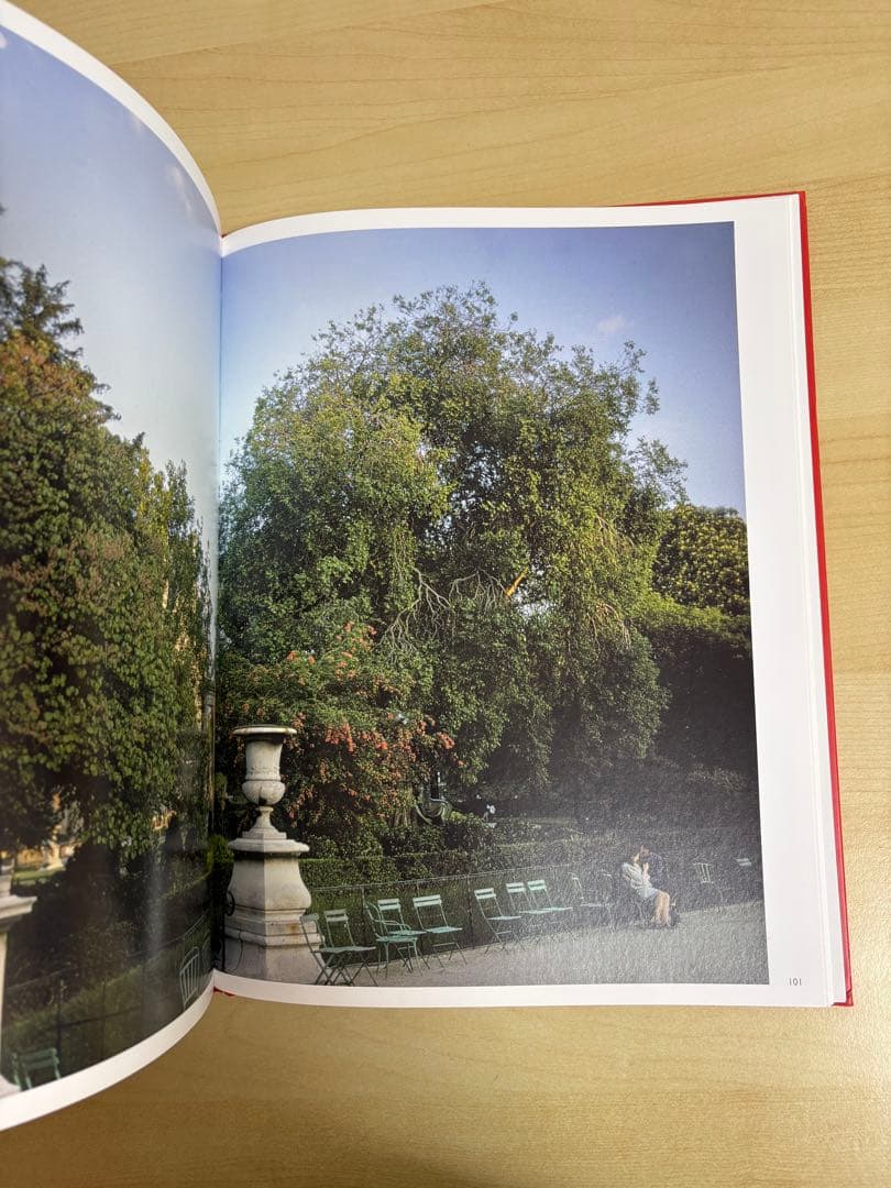 アート・デザイン・音楽 Joel Meyerowitz Wild Flowers