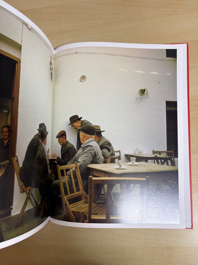 アート・デザイン・音楽 Joel Meyerowitz Wild Flowers