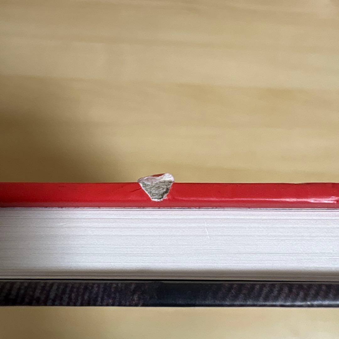 アート・デザイン・音楽 Joel Meyerowitz Wild Flowers