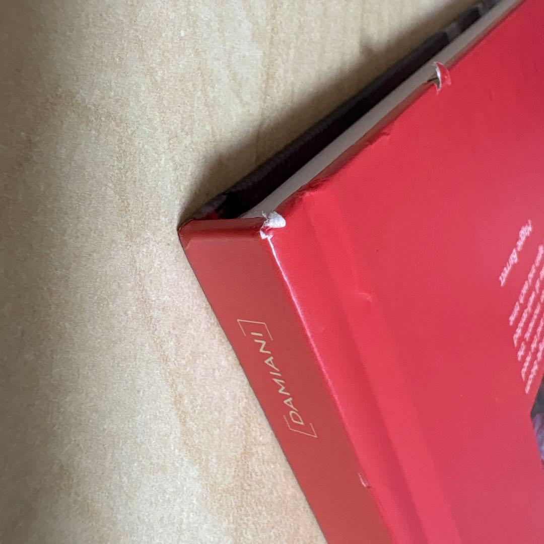 アート・デザイン・音楽 Joel Meyerowitz Wild Flowers