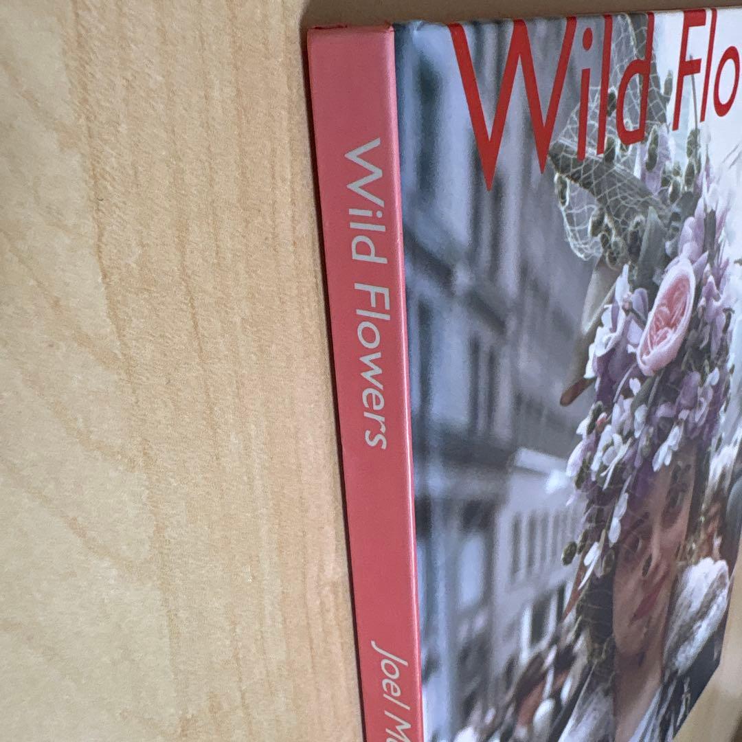 アート・デザイン・音楽 Joel Meyerowitz Wild Flowers