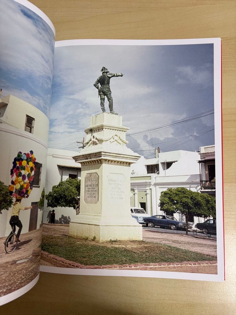 アート・デザイン・音楽 Joel Meyerowitz Wild Flowers