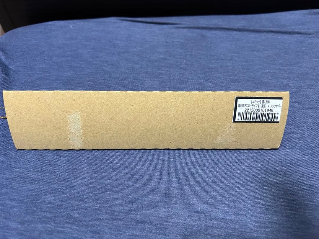 異世界でスローライフを(願望) ノベル1-12 コミック1-10