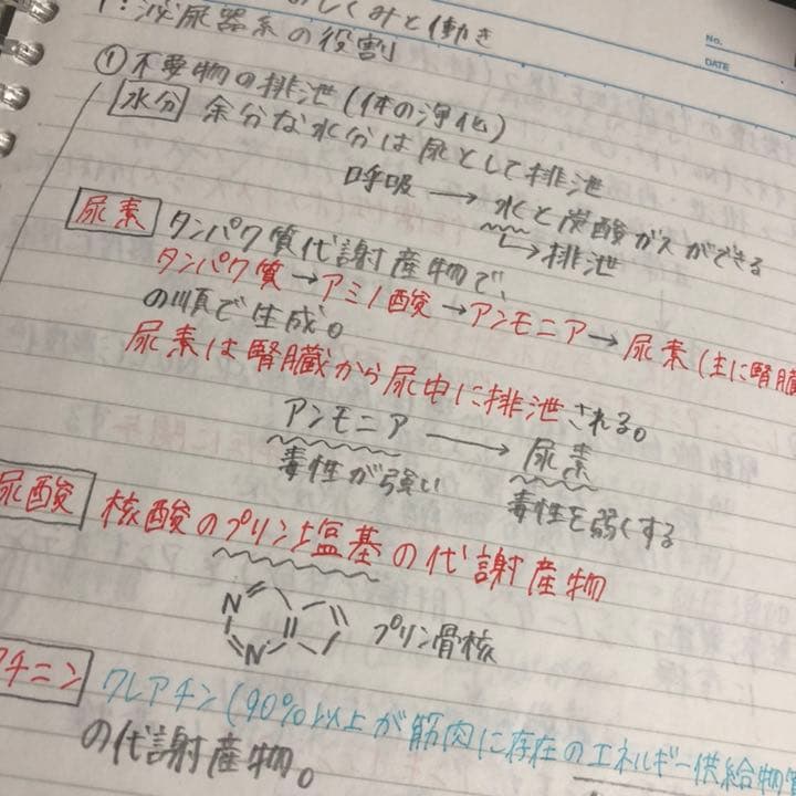 臨床工学技士　授業ノート　まとめ