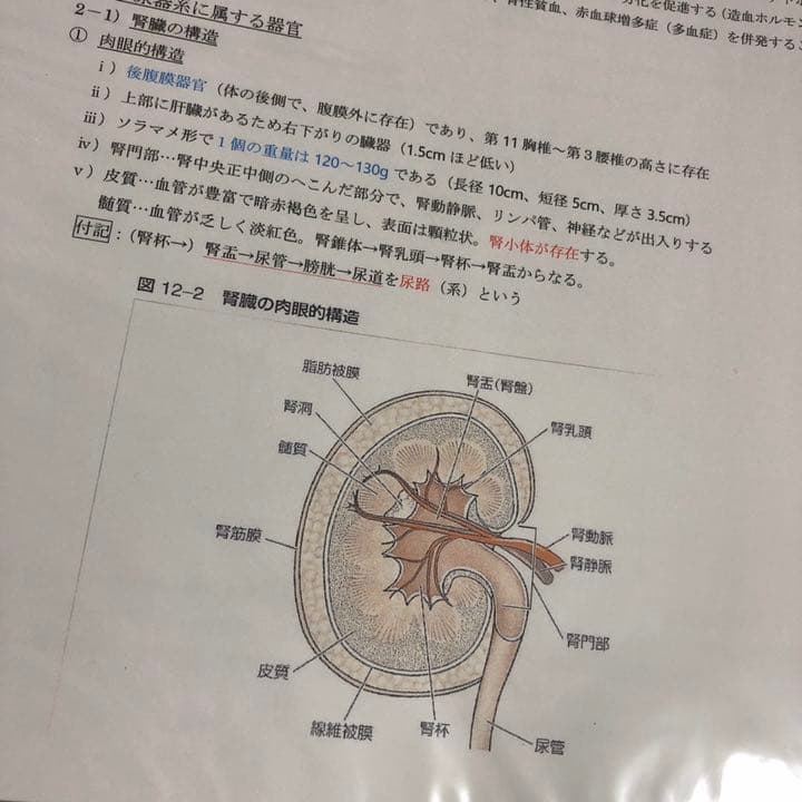 臨床工学技士　授業ノート　まとめ