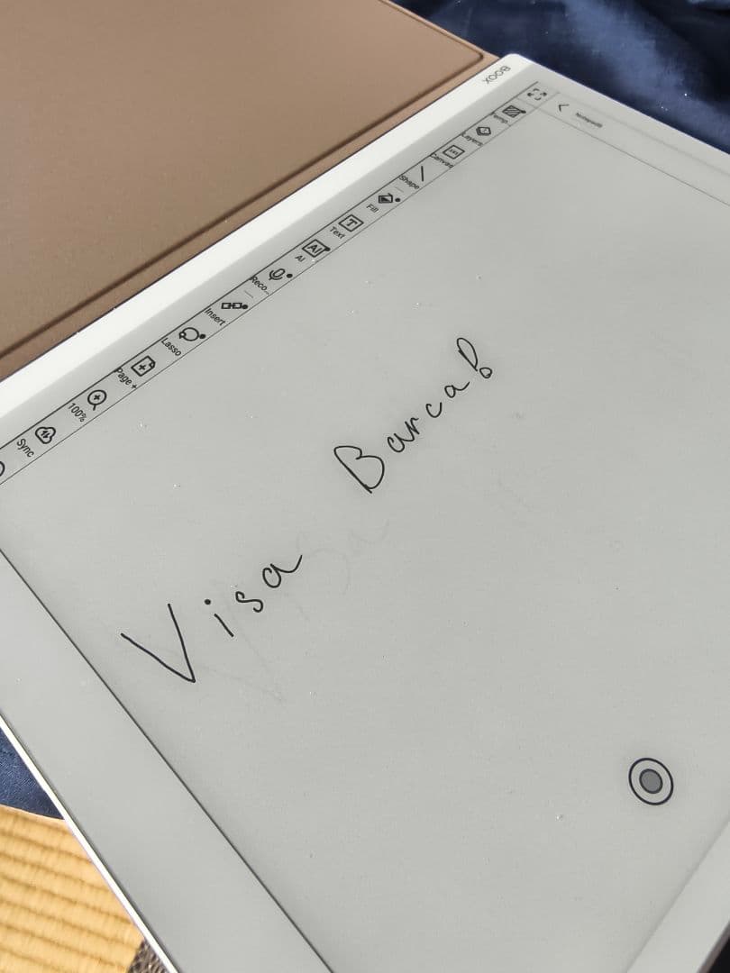 電子書籍リーダー本体 Onyx Boox Go 10.3