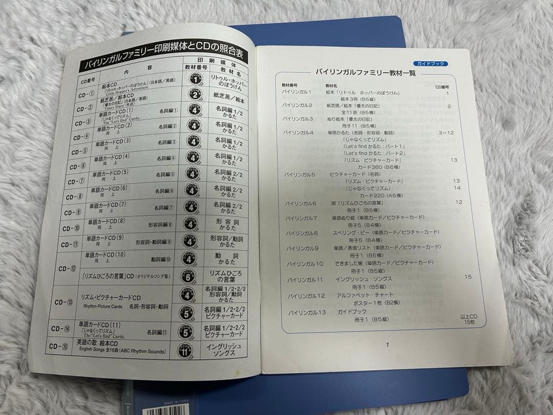 家庭保育園　バイリンガルファミリー　TANEMAKI English タカモリ流