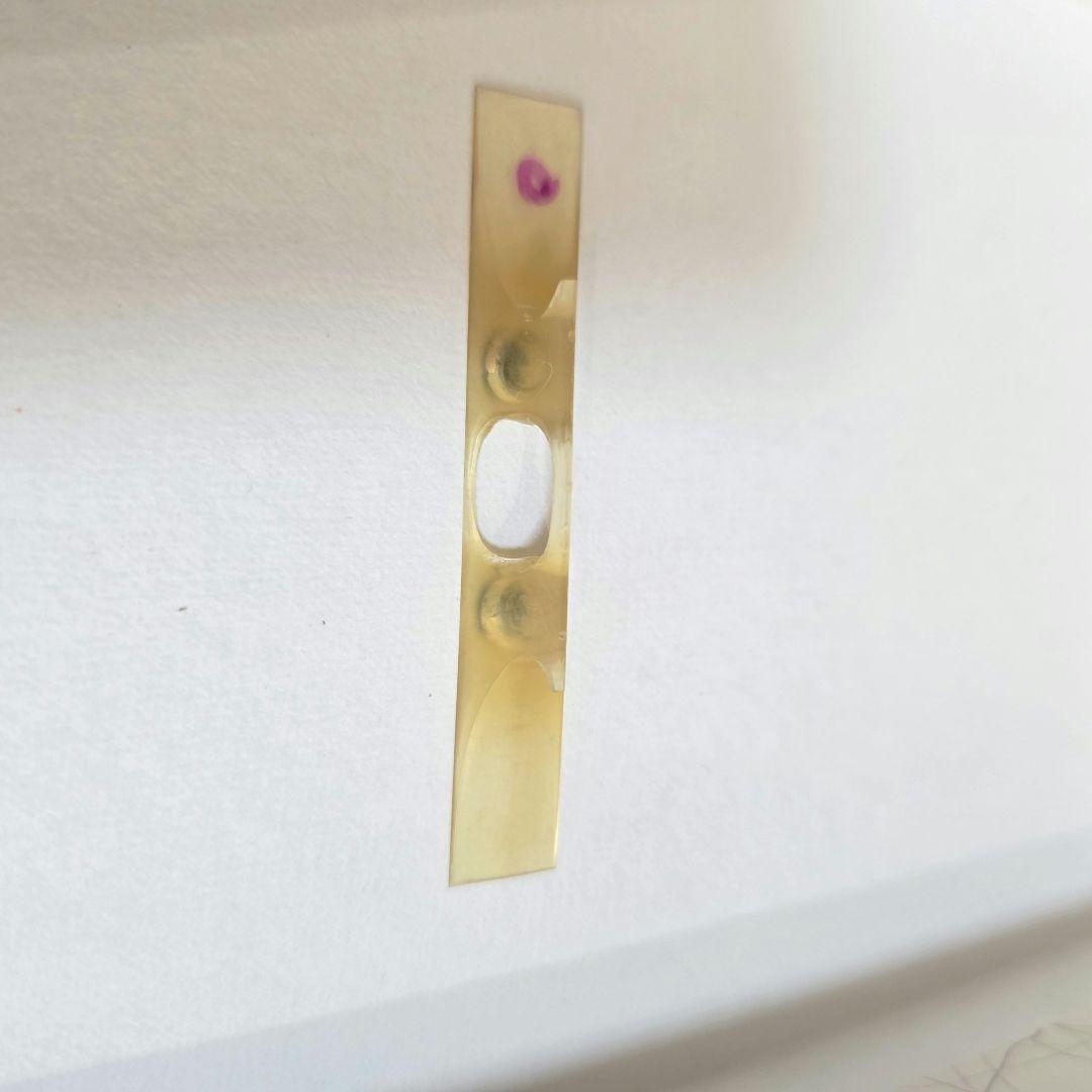 SUZUKI 三味線 【あやめ】スズキ　鍵付きハードケース　初心者セット