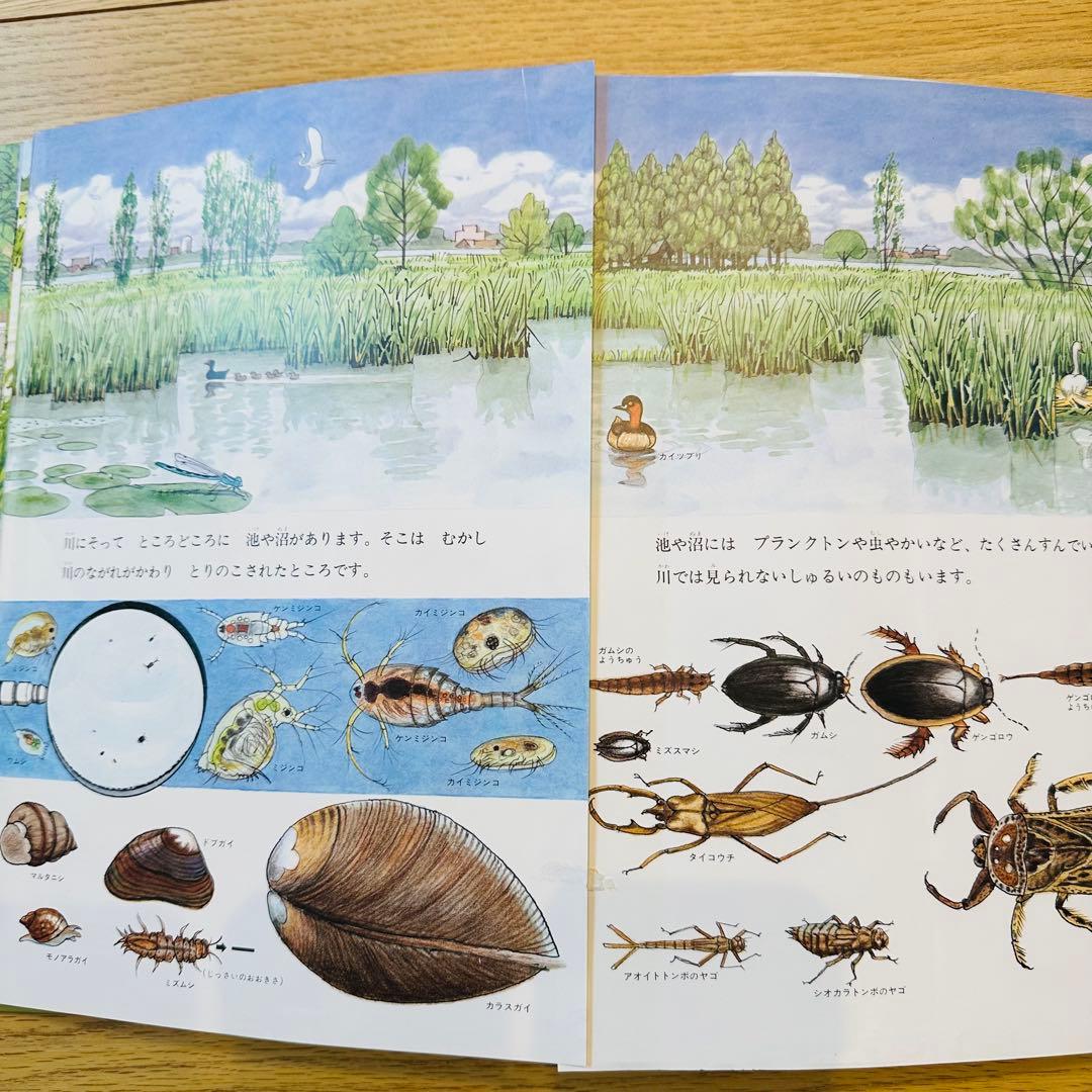 049-1 絵本33冊 セット まとめ売り