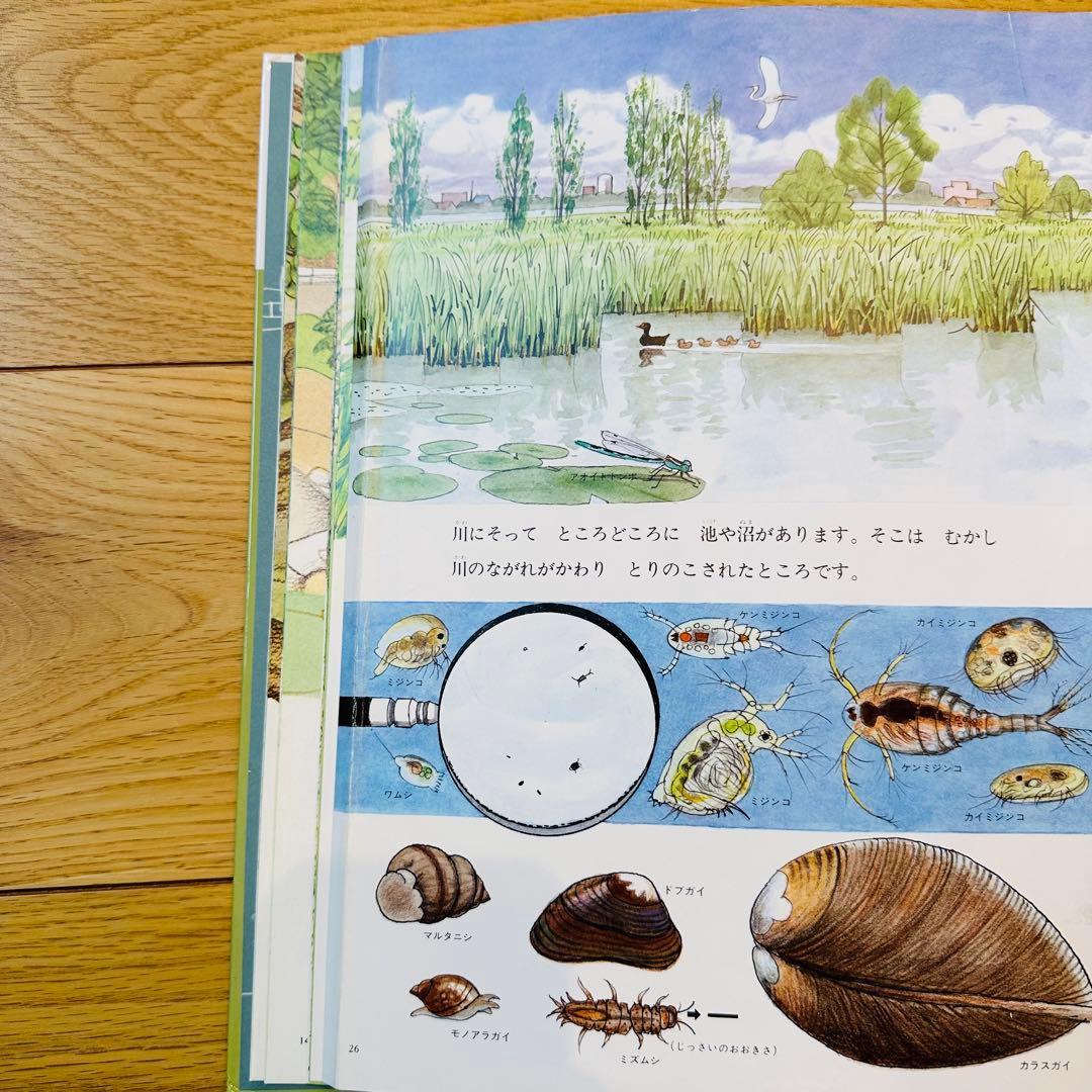 049-1 絵本33冊 セット まとめ売り