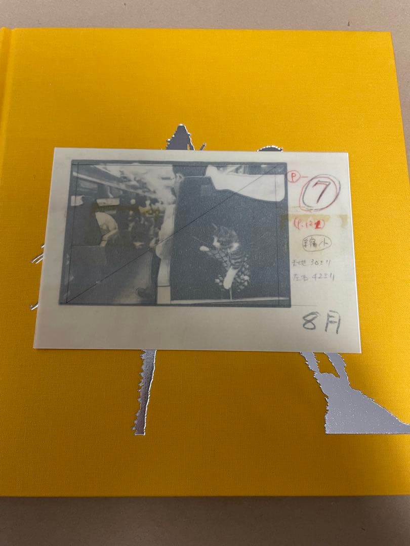 深瀬昌久 写真集 Masahisa Fukase Afterword サスケ