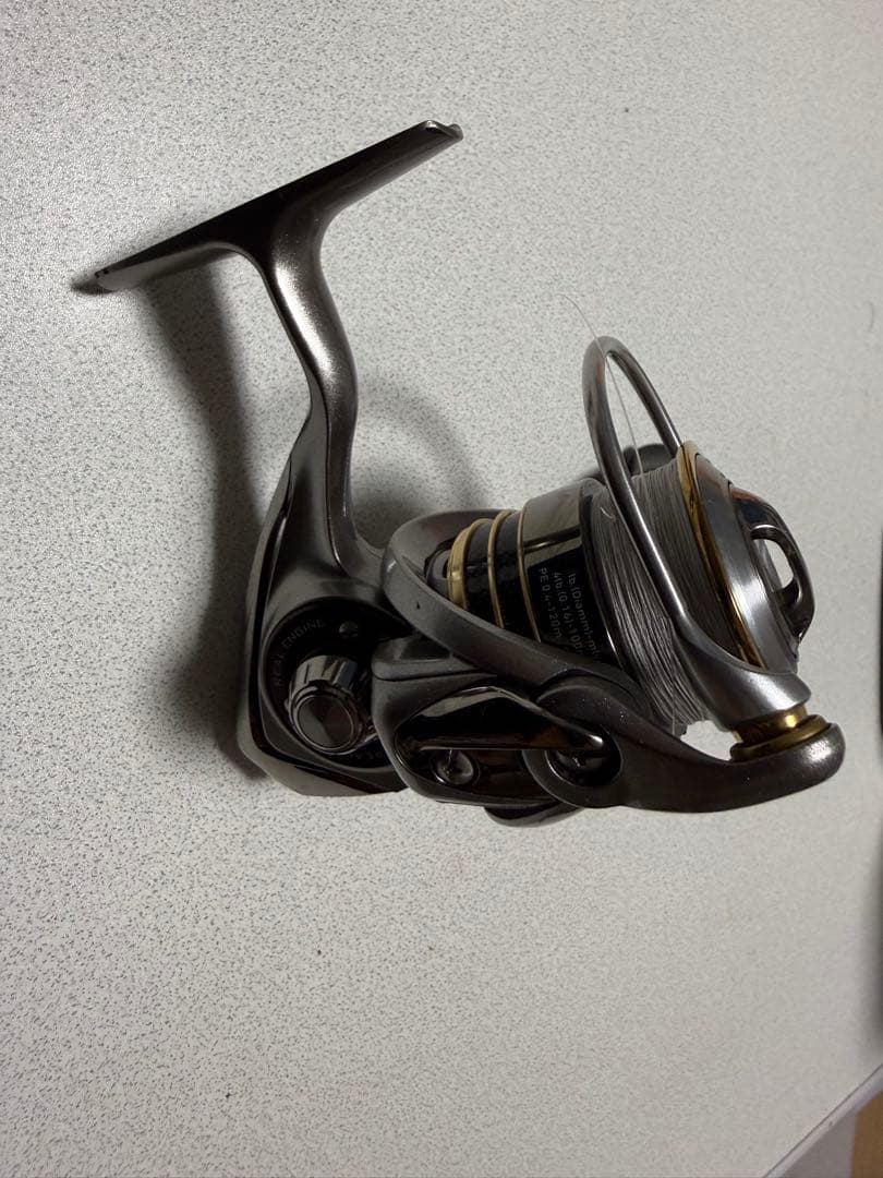 ダイワ　ルビアス　2004