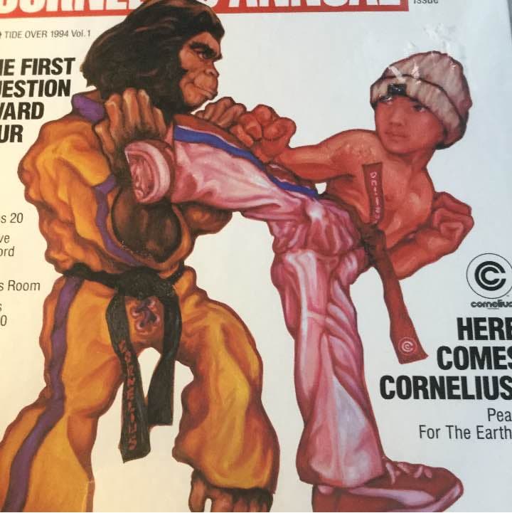 新品未開封 超美品 コーネリアス 1994年ツアーパンフ Cornelius