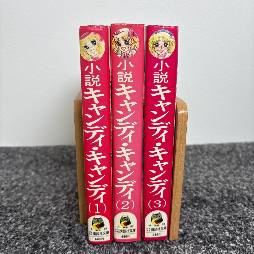 キャンディキャンディ 小説