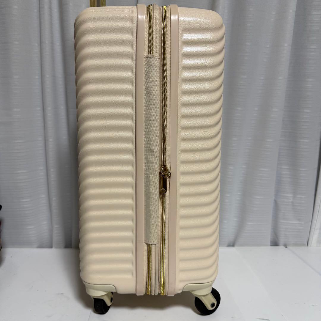 ⭐️未使用級⭐️ACE HaNT mine スーツケース ハントマイン