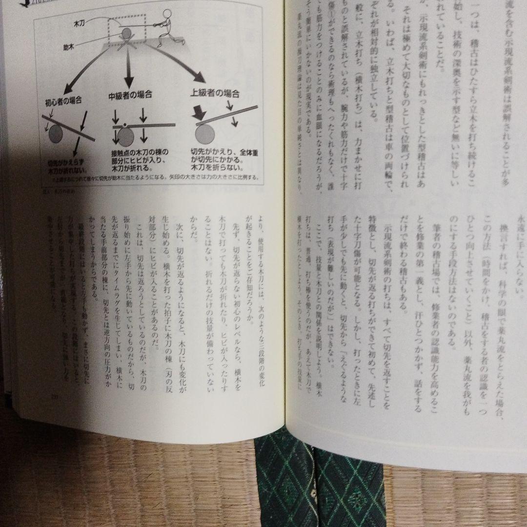 ZIGENRYU 薬丸自顕流武備録