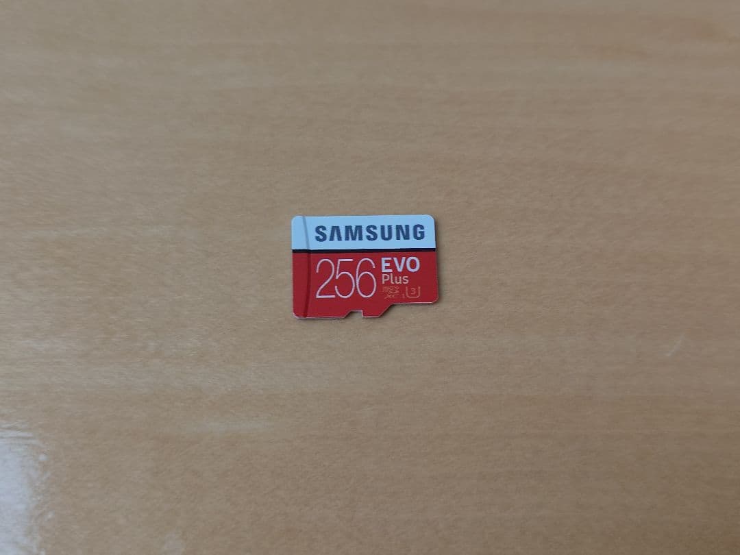 Nintendo Switch Lite ザシアン・ザマゼンタ ＋α