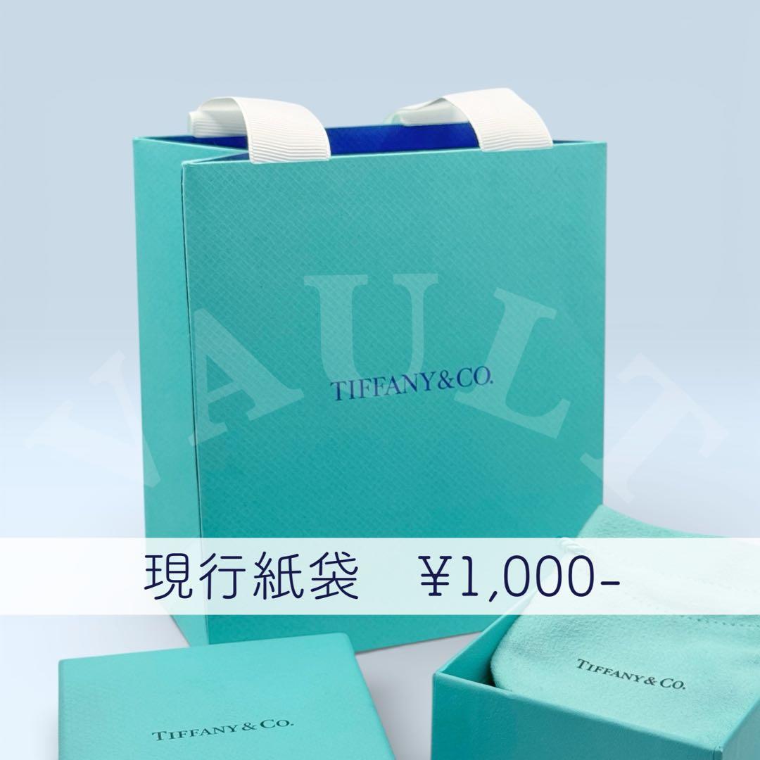 TIFFANY&Co.極美品 アトラスサークル メダリオンネックレス Ag925