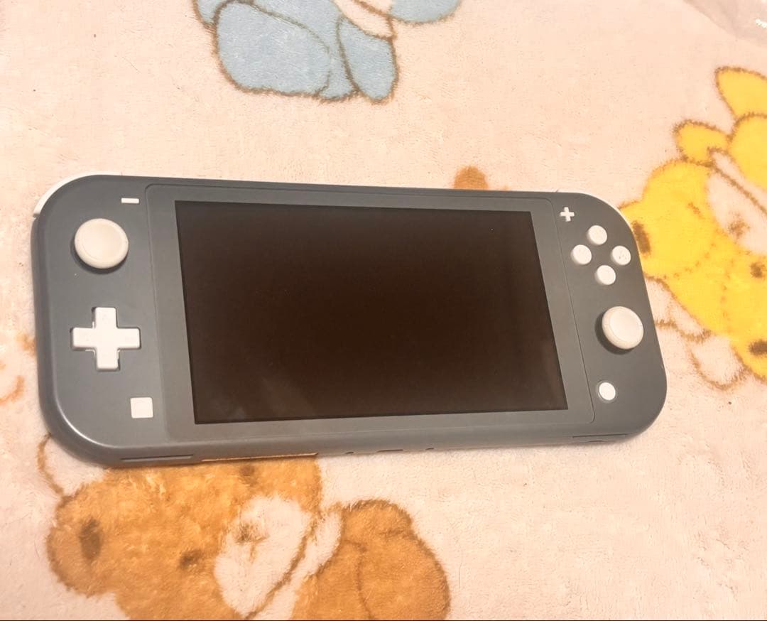 Nintendo Switch Lite グレー ACアダプター付き