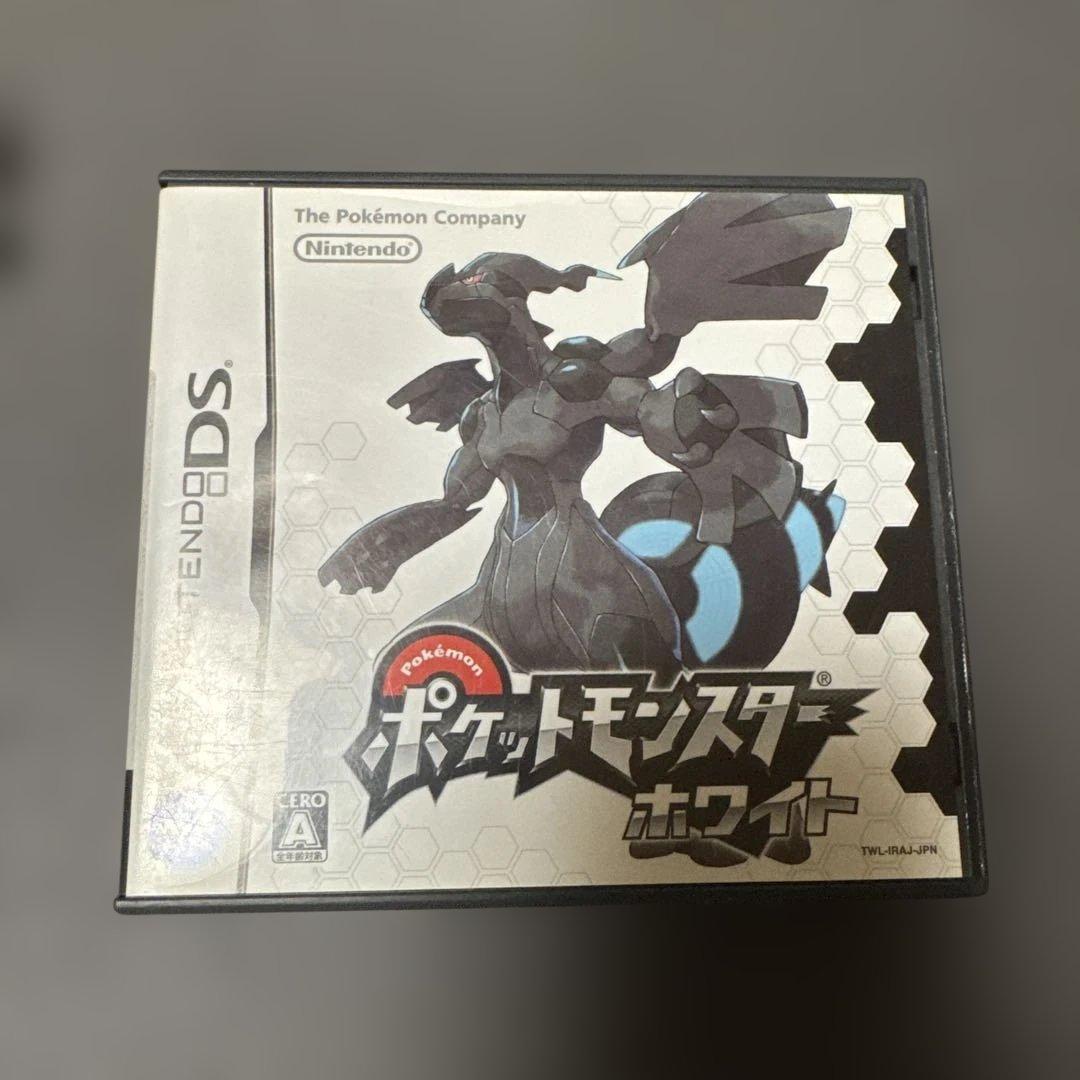 ニンテンドーDSソフト パッケージセット