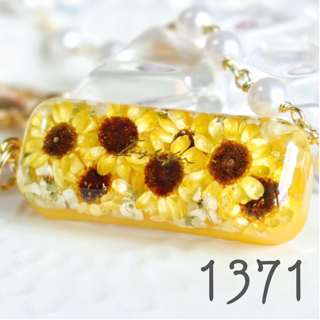 ❉専用❉ K☆さま(6/20迄)