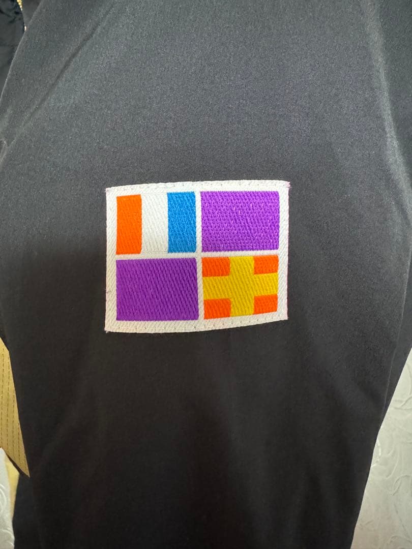 非売品　都道府県対抗駅伝 東京都代表選手支給品ウィンドブレイカーLサイズ　上下