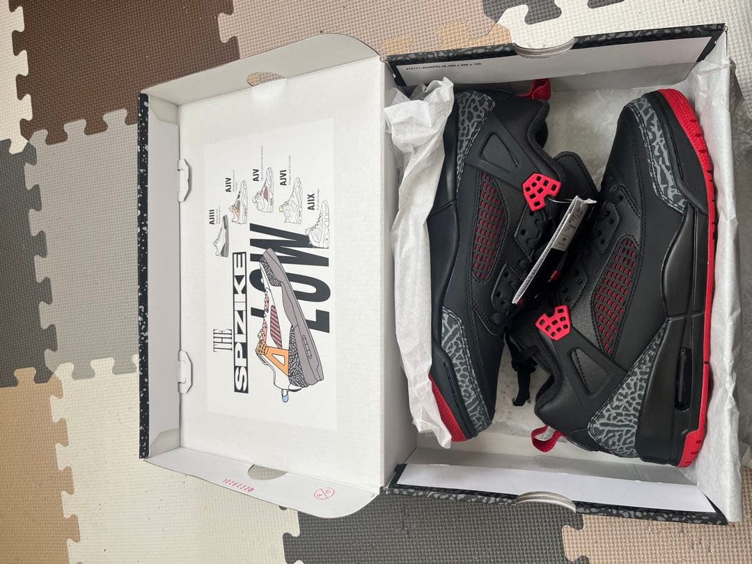 ジョーダン　スパイジーク　ロー