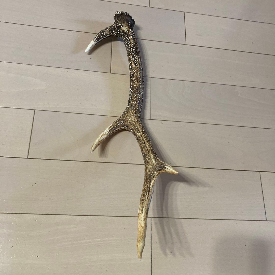 ローベンス クロンダイク TCテント 薪ストーブ対応 豪華オマケ付き