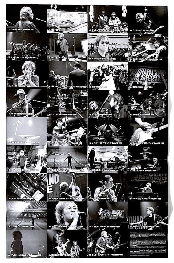 廃盤 DVD 佐野元春&THE COYOTE GRAND ROCKESTRA