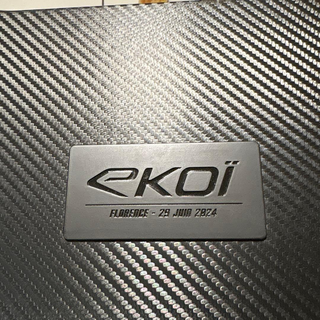 世界限定販売 EKOI Racing MAGNETIC Sunglass kit